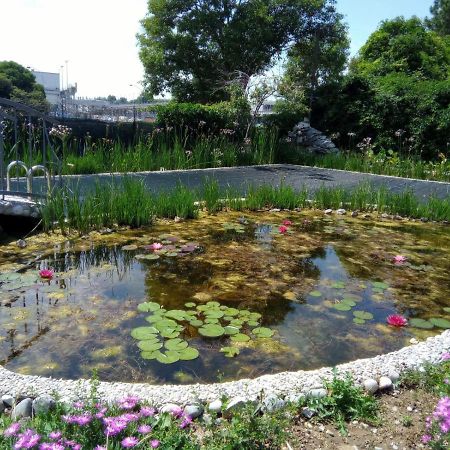 Villa Fiorita 몬팔코네 외부 사진