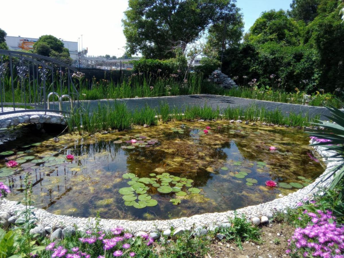 Villa Fiorita 몬팔코네 외부 사진