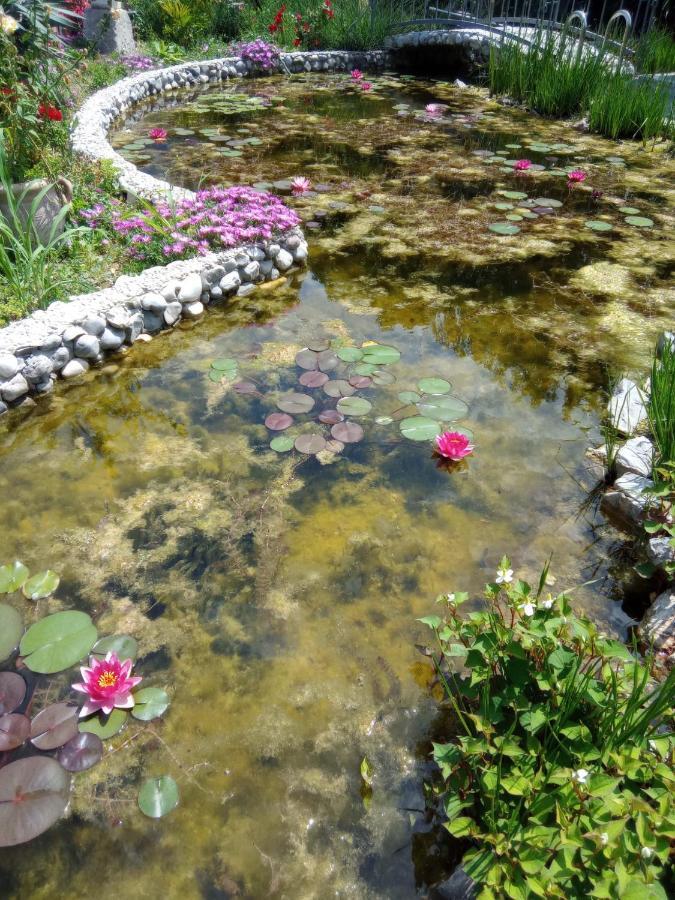 Villa Fiorita 몬팔코네 외부 사진