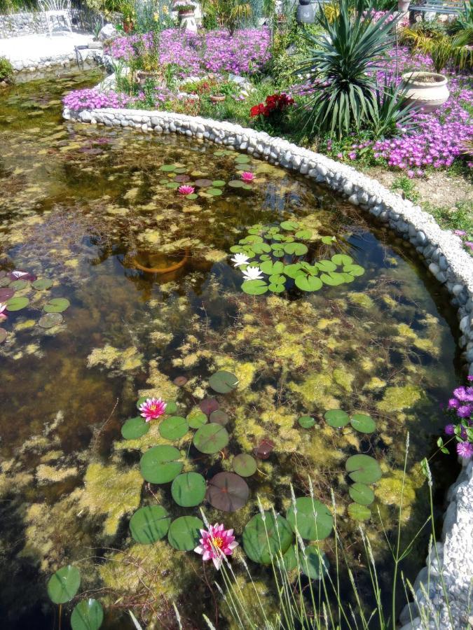 Villa Fiorita 몬팔코네 외부 사진