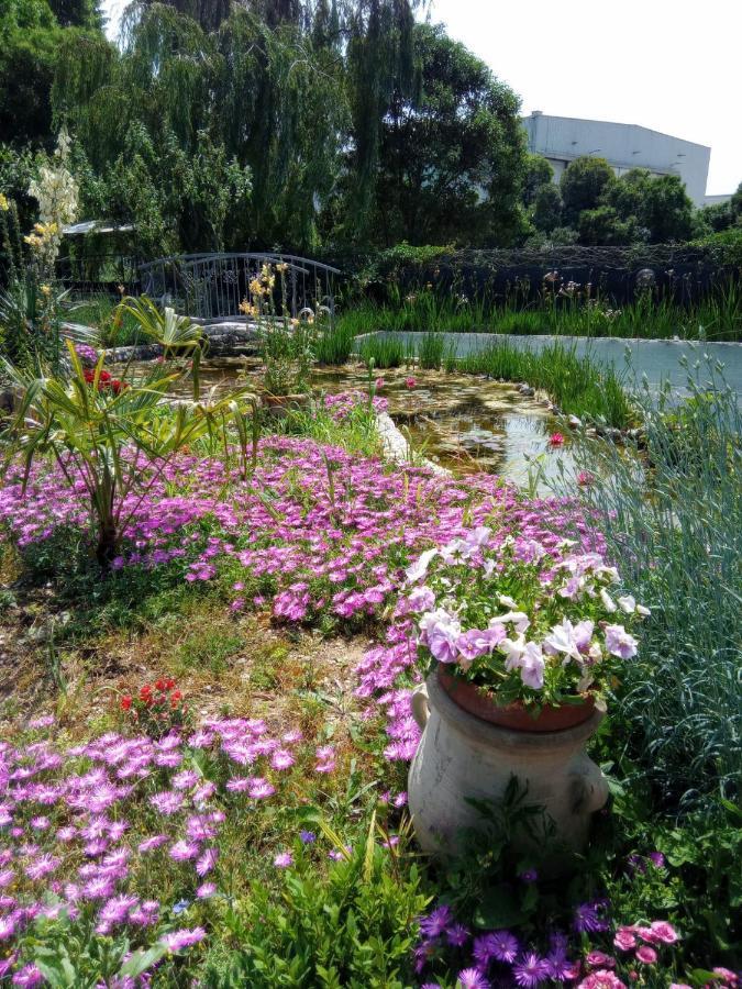 Villa Fiorita 몬팔코네 외부 사진