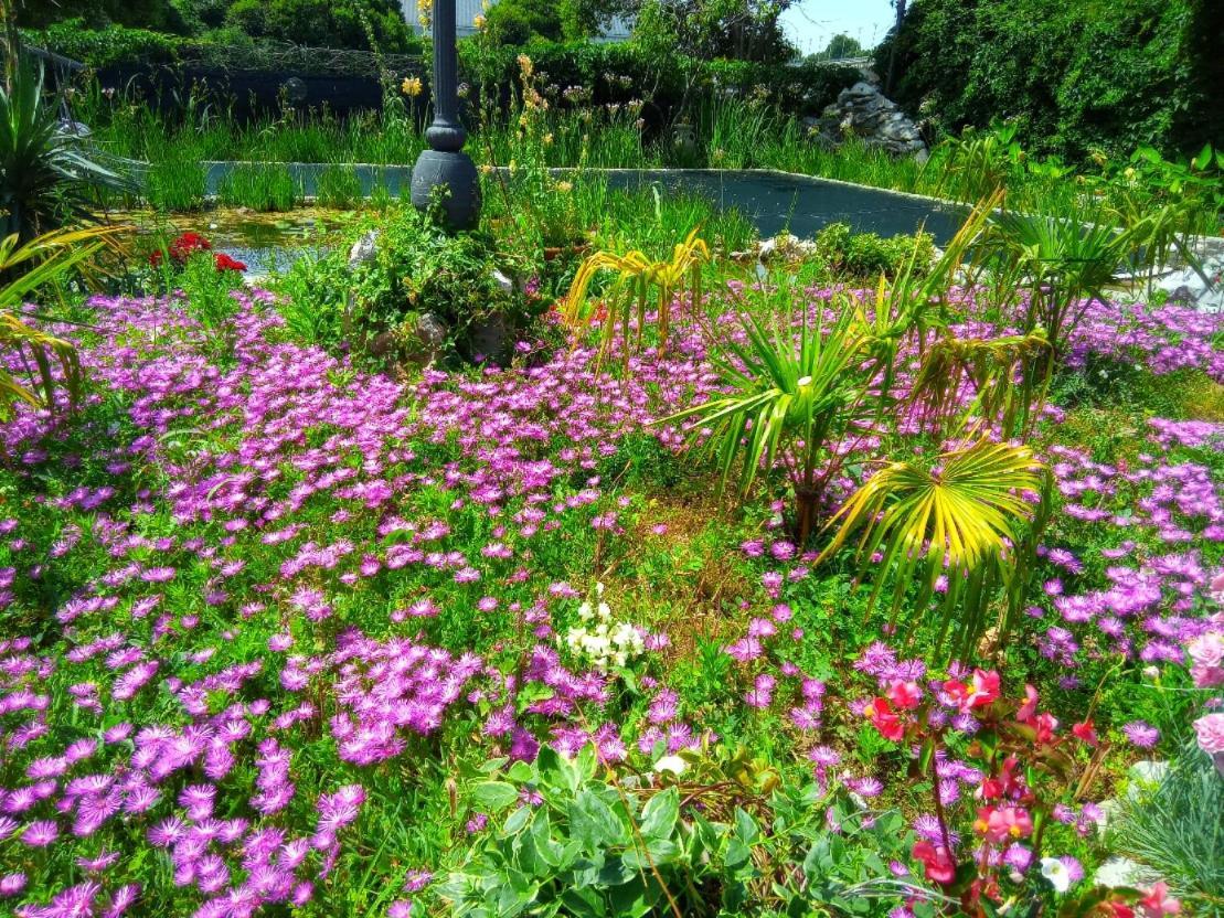 Villa Fiorita 몬팔코네 외부 사진