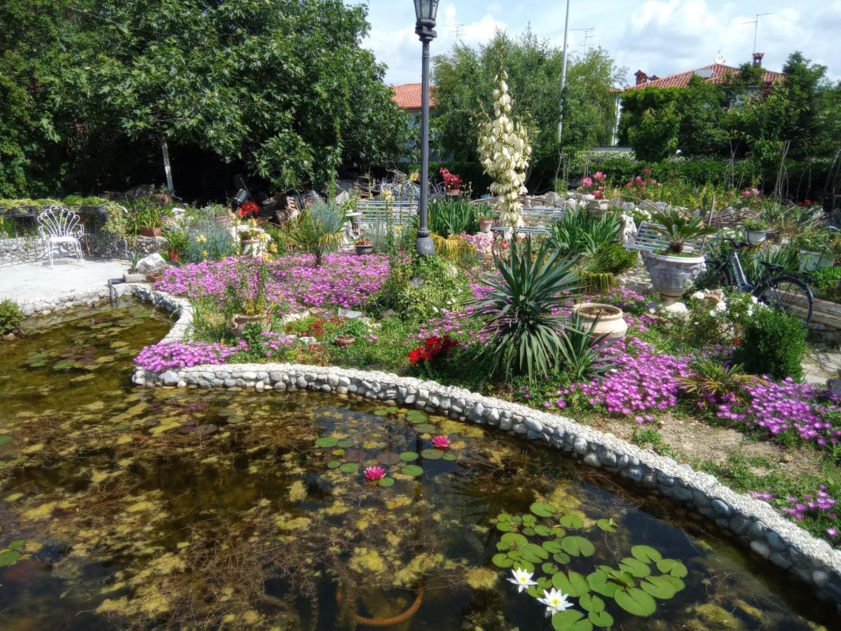 Villa Fiorita 몬팔코네 외부 사진