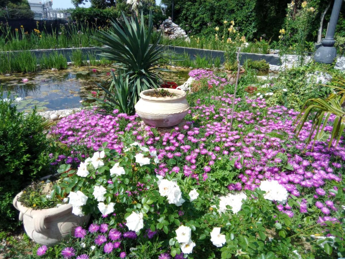 Villa Fiorita 몬팔코네 외부 사진
