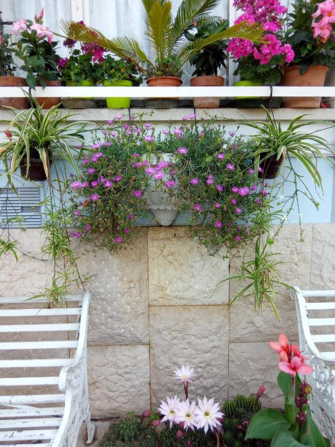 Villa Fiorita 몬팔코네 외부 사진