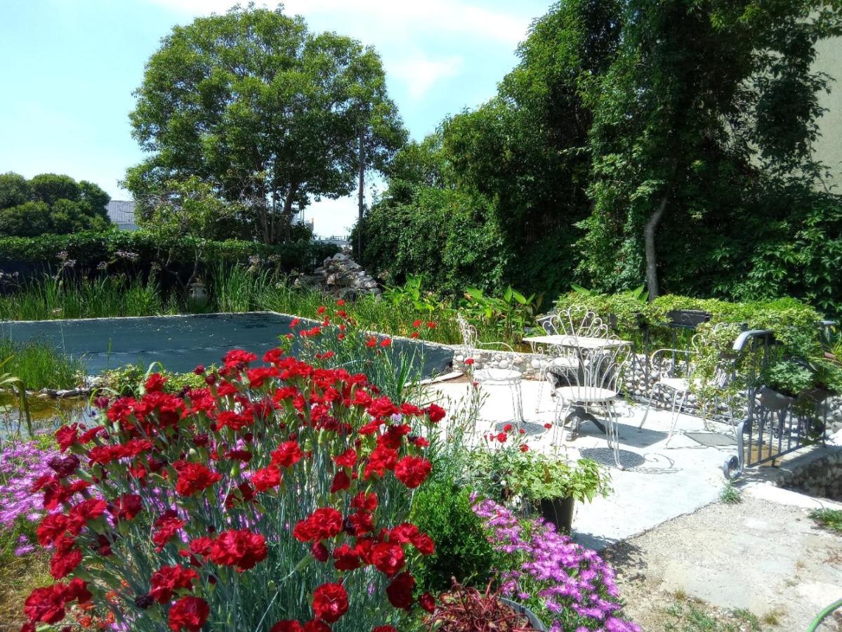 Villa Fiorita 몬팔코네 외부 사진