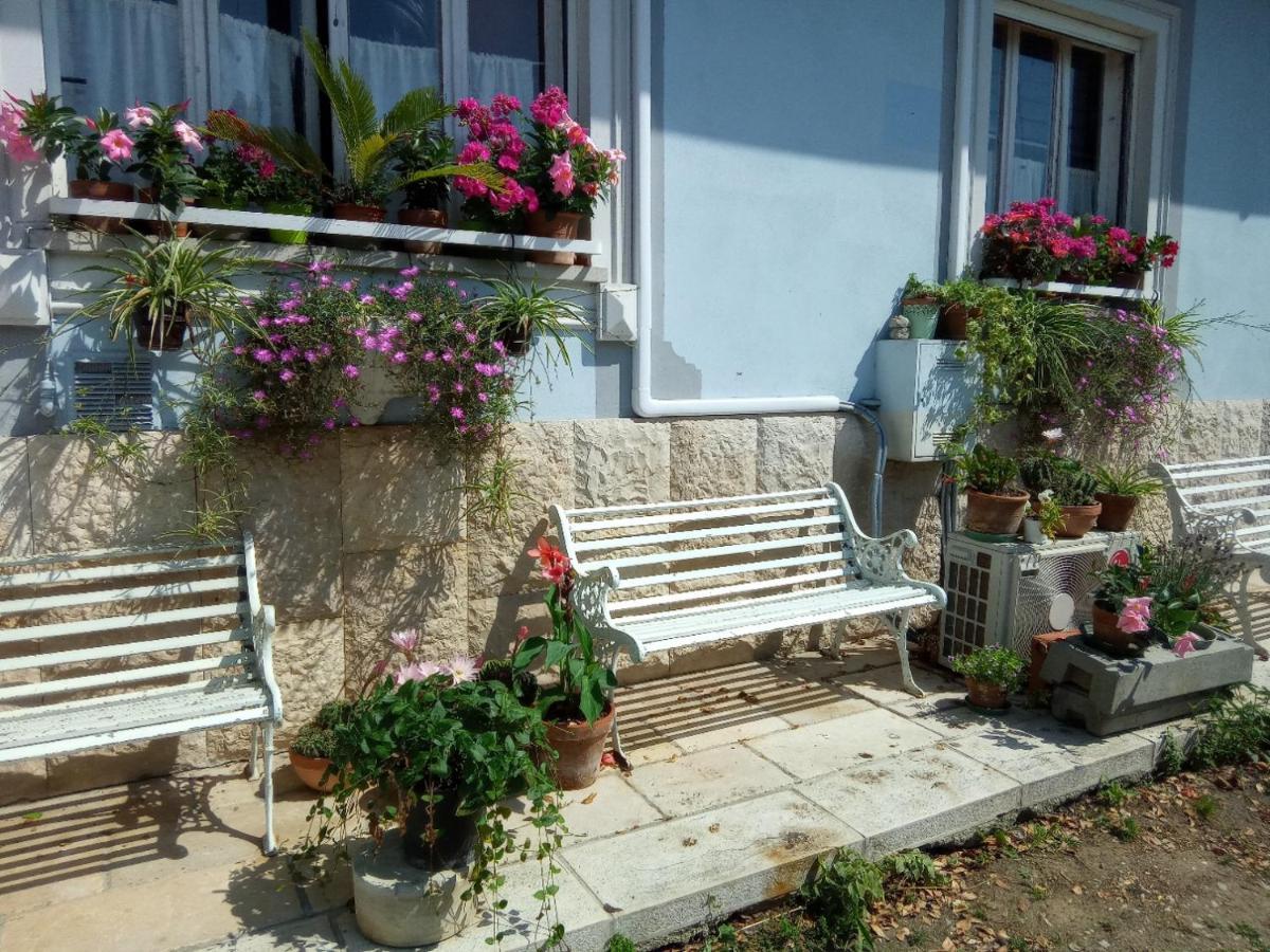 Villa Fiorita 몬팔코네 외부 사진