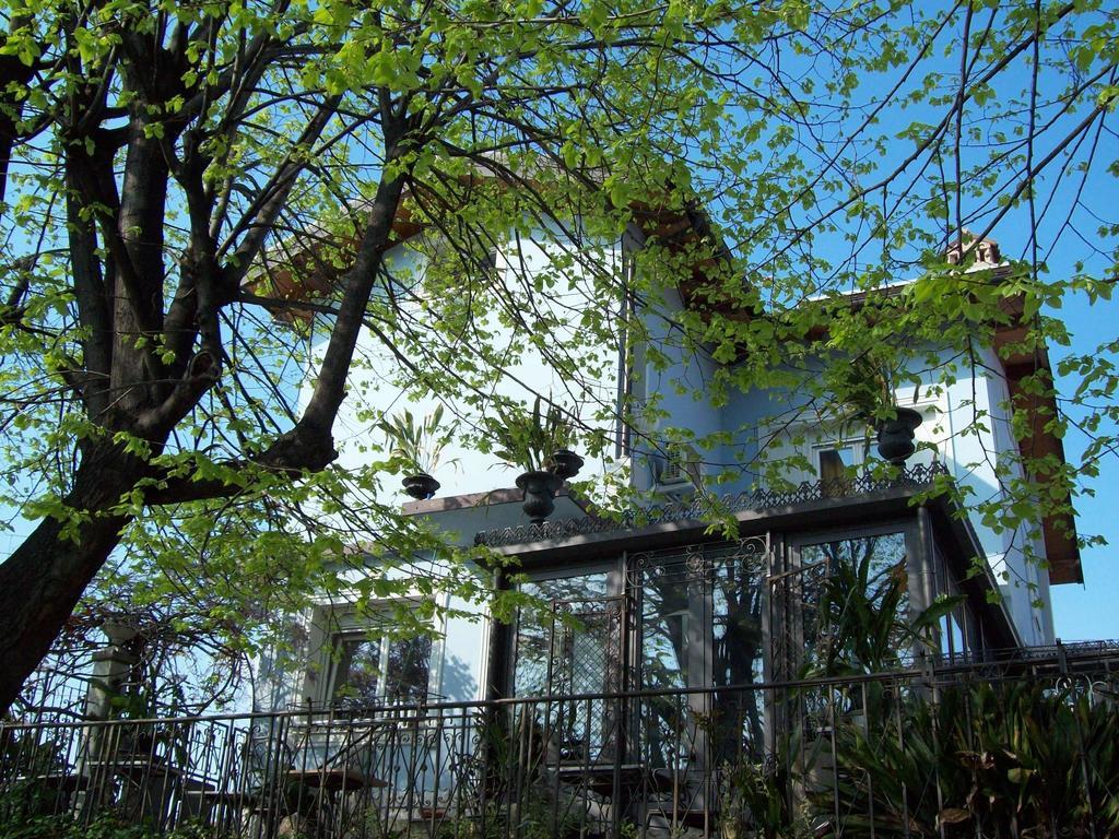 Villa Fiorita 몬팔코네 객실 사진