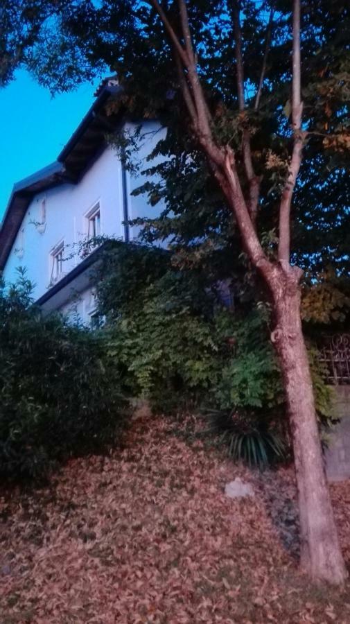 Villa Fiorita 몬팔코네 외부 사진