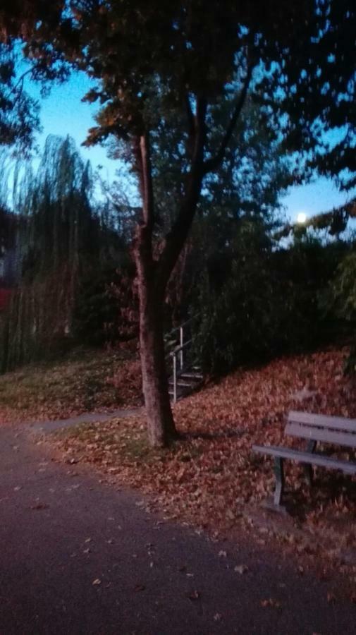 Villa Fiorita 몬팔코네 외부 사진
