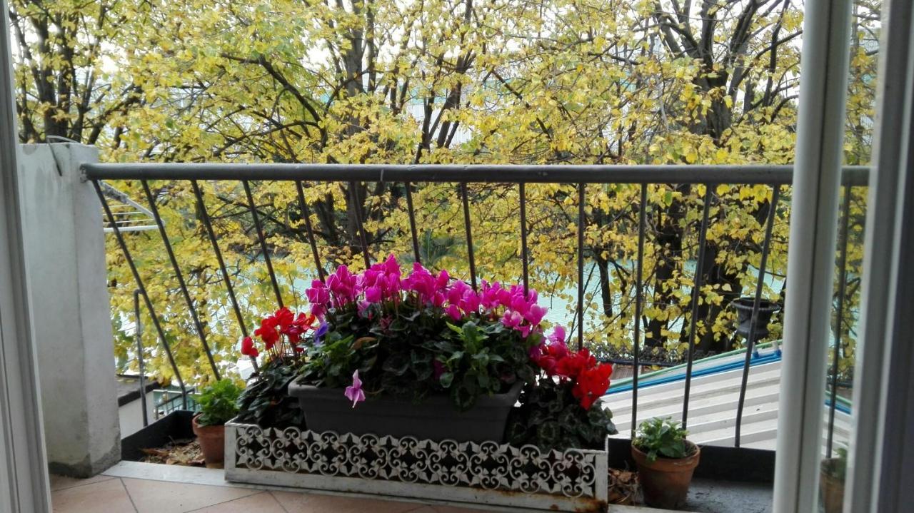 Villa Fiorita 몬팔코네 외부 사진